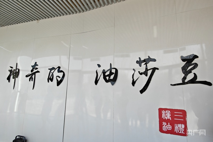 兴安镇油莎豆博物馆 （央广网记者郭璁悦 摄）