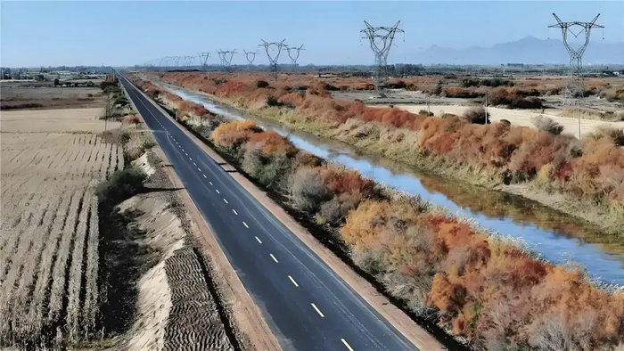 四通八达的海望路。