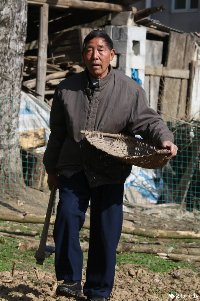 36关的通关方法皇室战争