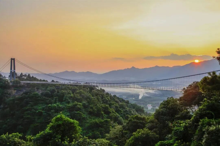 图/南丹山森林王国