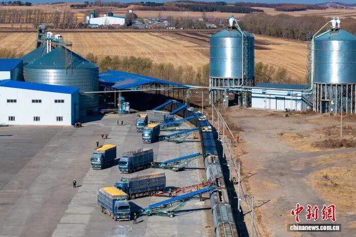 黑龙江“北粮南运”进入高峰期，哈铁多措并举保障粮食高效运输 吴雨南 摄