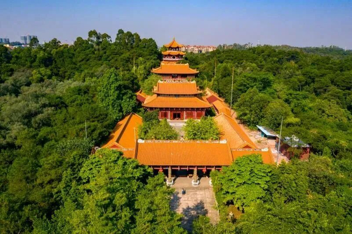 图/三水森林公园
