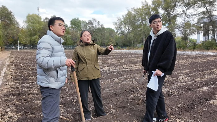 邹文秀（中）与团队在田间进行土壤采样