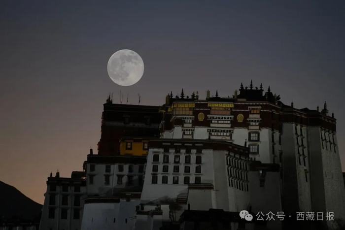 记者 潘多 摄