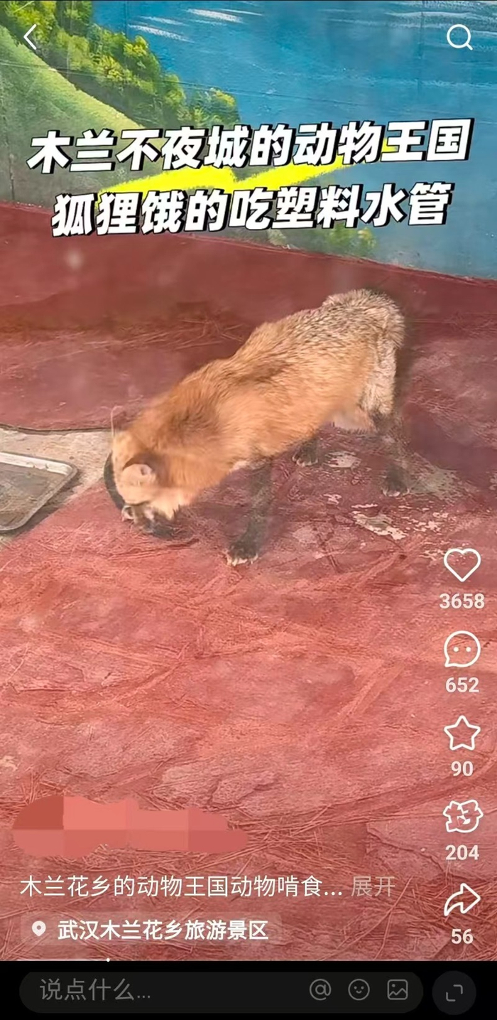 社交平臺截圖。