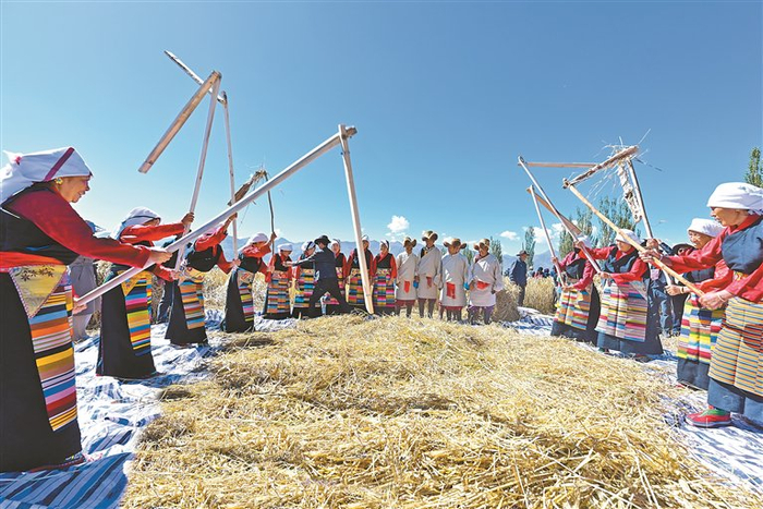 图为深秋时节，在拉萨市林周县强嘎乡典冲村，当地农民用传统方式打场（资料图片）。记者 王敏 摄