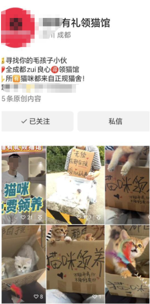 ▲相关自媒体账号截图