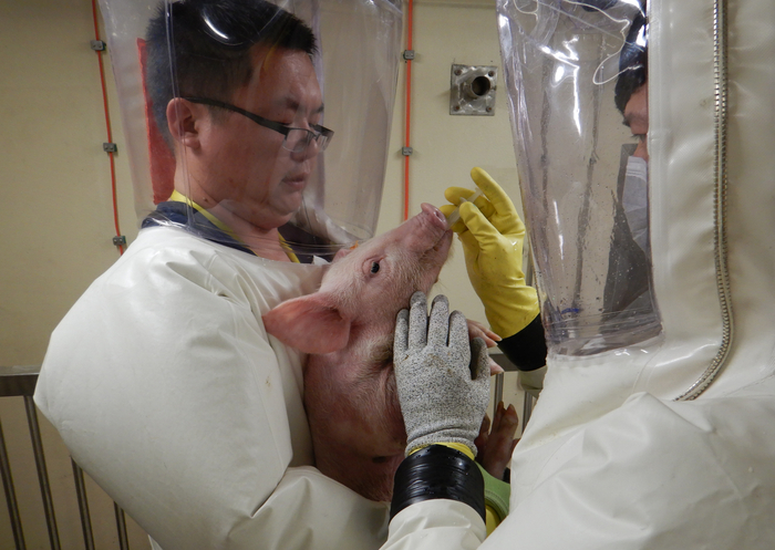 科研人员在高级别实验室里做科学实验