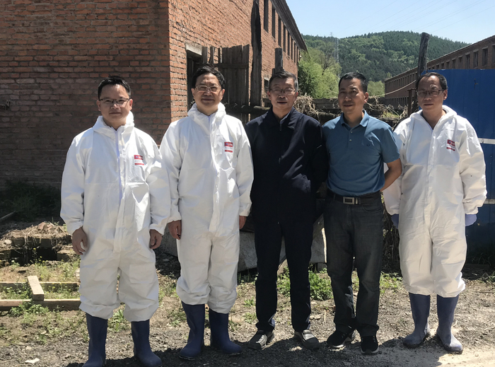 哈兽研所长步志高（左二）在非洲猪瘟弱毒疫苗临床试验基地开展动物实验