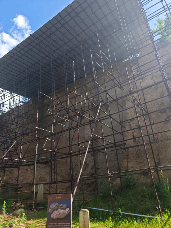 初中生兼职一小时50元的现实与思考