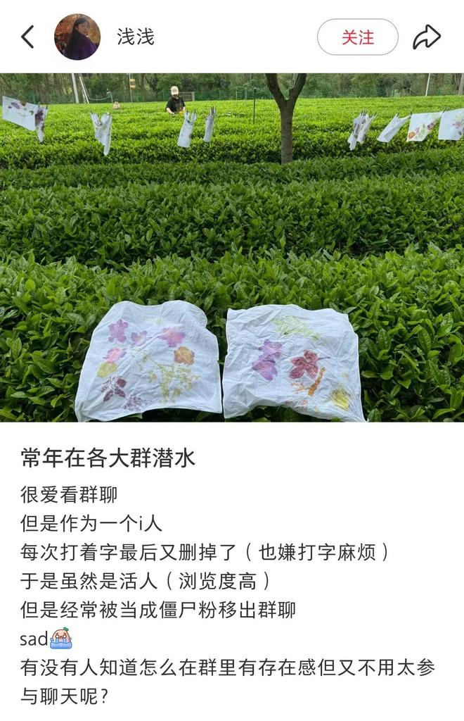 （图/小红书截图）