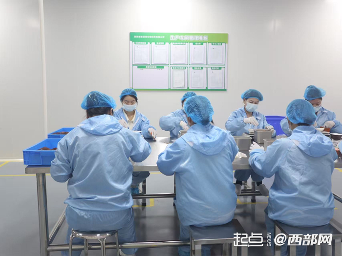 陕西秦脉百草生物科技有限公司产品生产线。李亮 摄