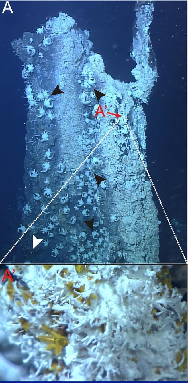 曲靖400快不限次数联系方式指南汇总