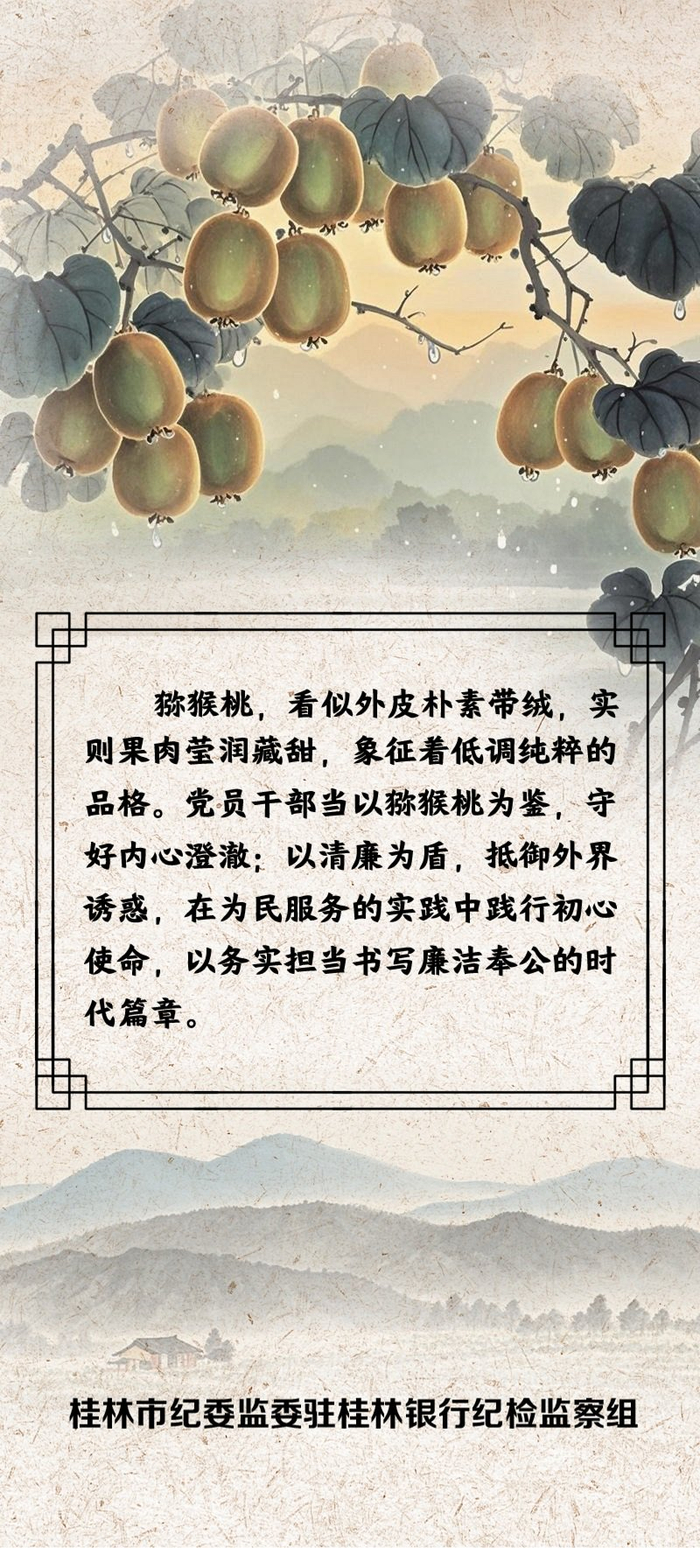 “果说” 廉韵丨猕猴桃：外朴内清 廉守初心