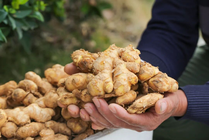 本文图片来源/摄图网授权