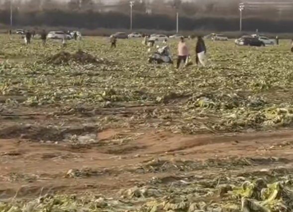 （图源：潇湘晨报）