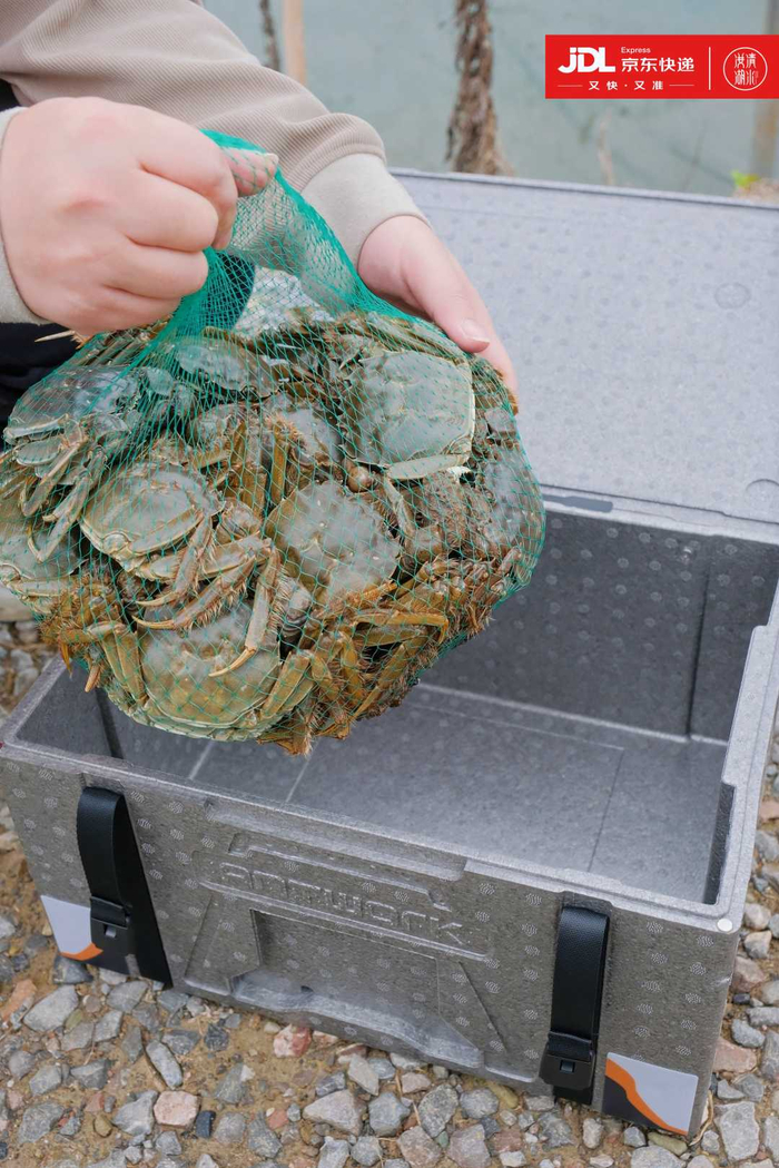 11月8日，洪湖清水大闸蟹批量上市。（资料图）