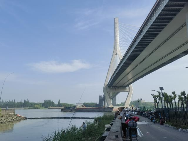 闵浦三桥。陈浩摄