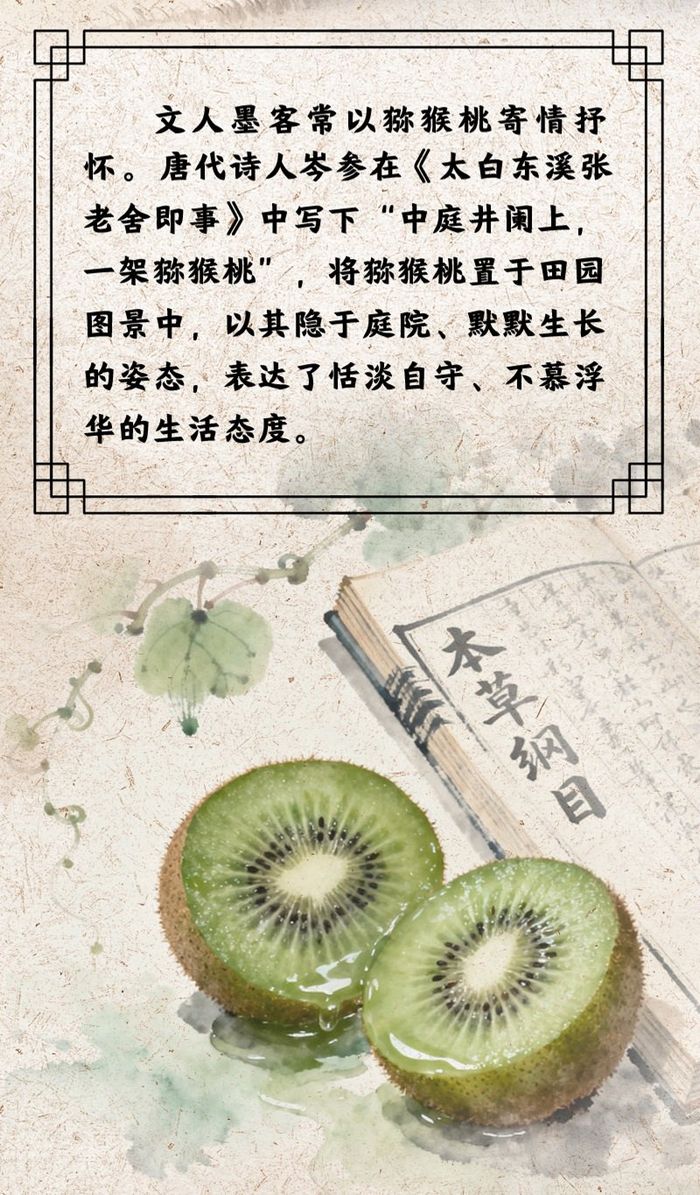 “果说” 廉韵丨猕猴桃：外朴内清 廉守初心