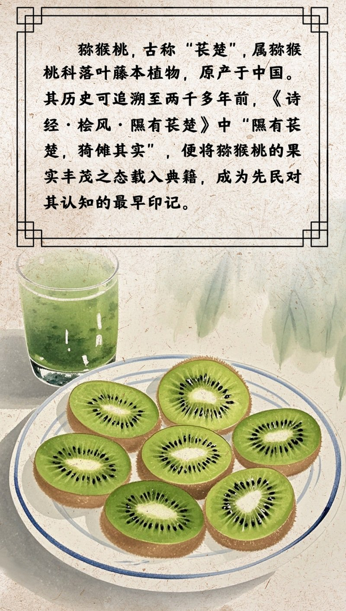 “果说” 廉韵丨猕猴桃：外朴内清 廉守初心