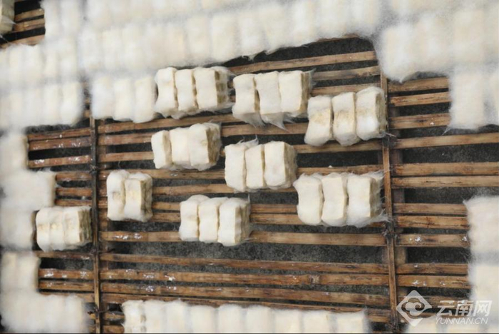 鲁史“毛豆腐” 图源：“今日临沧”微信公众号