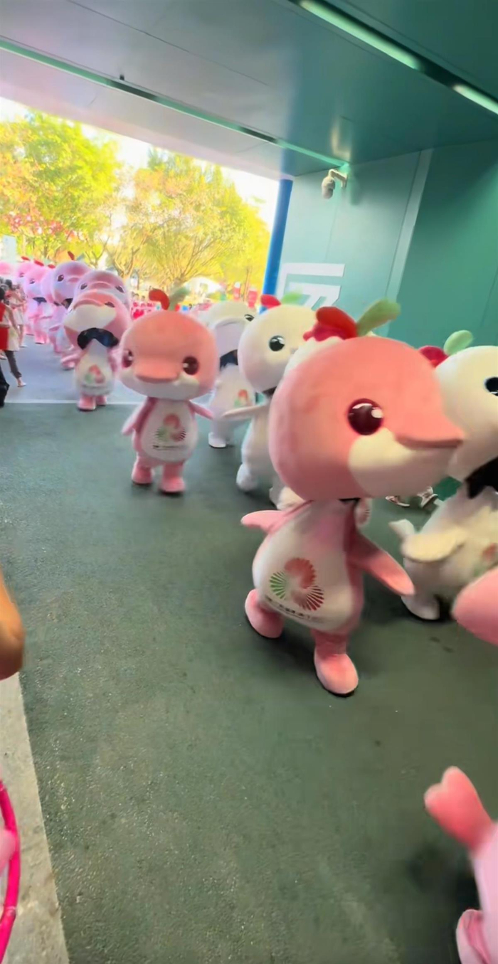 网友拍摄的视频截图