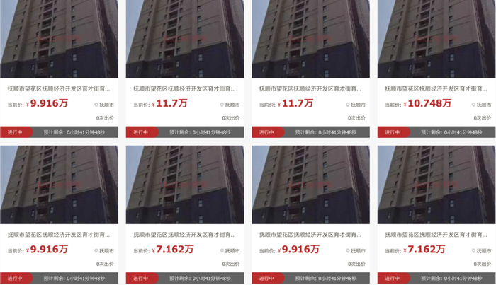 截图来源：京东资产平台