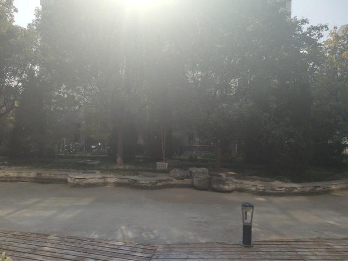 水郡长安小区的树木和水系。摄影/王文彤