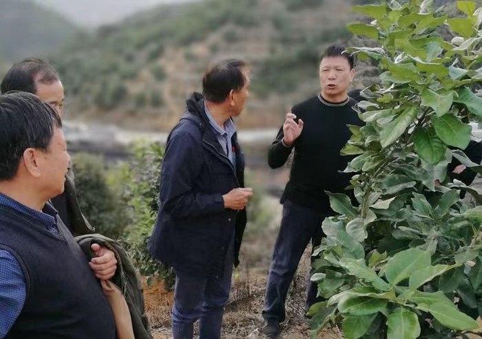 颜禧童（右一）正在指导芦柑种植户开展植保作业。 （受访者供图）
