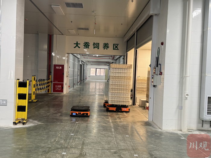 智能化机器车正在运输蚕盒 李菲菲 摄