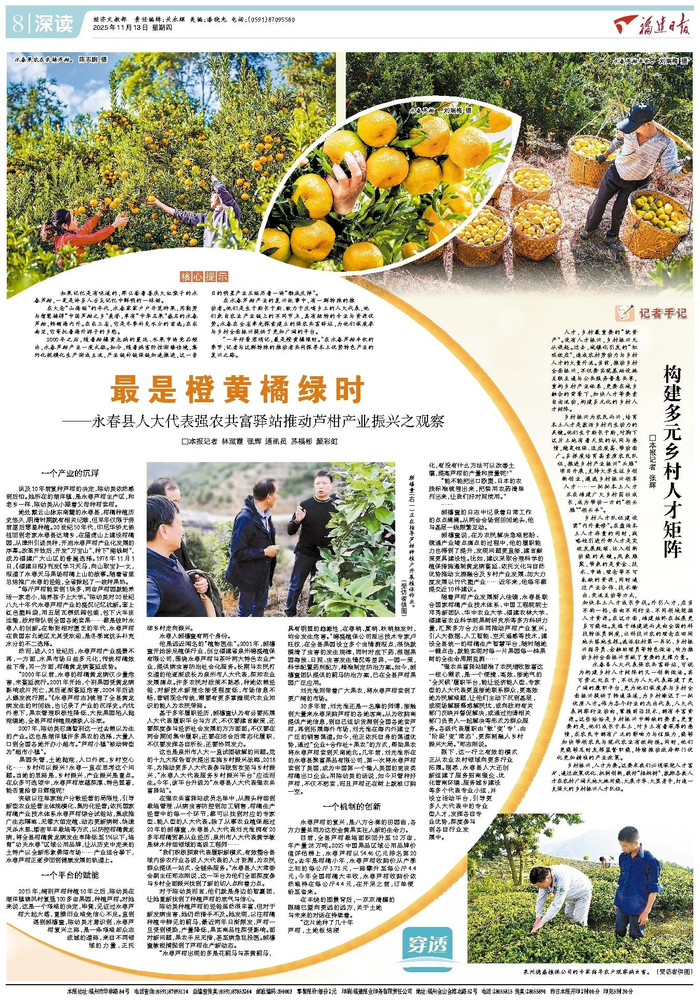 《福建日报》2025年11月13日08版