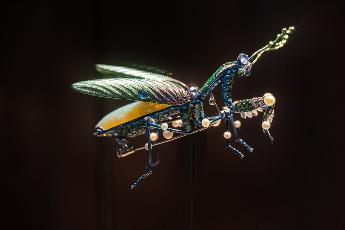 图为V MUSE x SINDAN钛合金螳螂高级珠宝胸针（受访者供图）