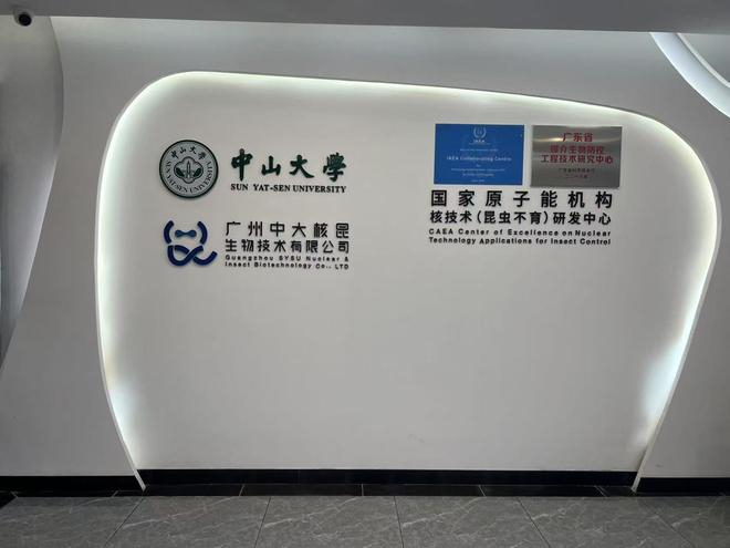 ▲中山大学“蚊子工厂” 受访者供图