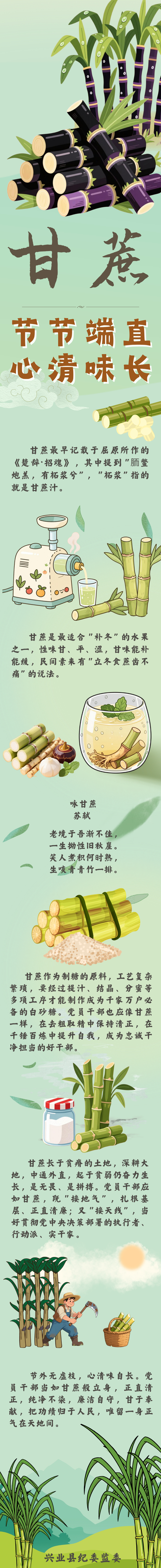 果说廉韵丨甘蔗：节节端直 心清味长