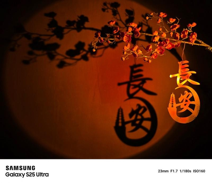 主摄夜拍样片