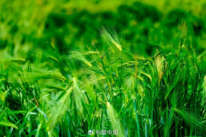 图库版权图片，转载使用可能引发版权纠纷