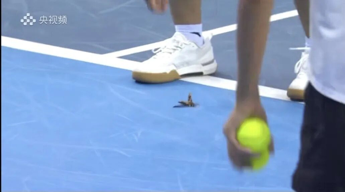 赛事转播视频截图。 