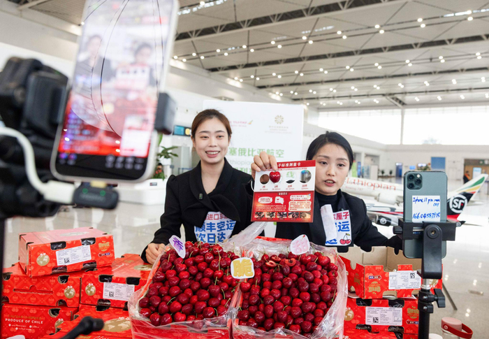11月7日，花湖国际机场内，工作人员进行智利车厘子线上直播。（湖北日报全媒记者 薛婷 摄）