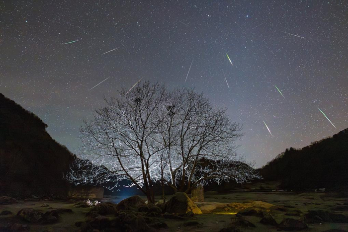 　　2023年11月19日，在陕西汉中市留坝县拍摄的狮子座流星雨（多张叠加）。（代玲摄，星联CSVA供图）