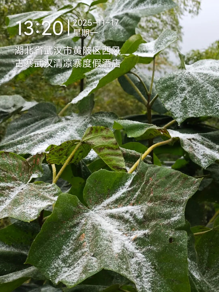 图/受访者提供 