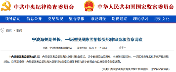 中央紀(jì)委國(guó)家監(jiān)委網(wǎng)站截圖