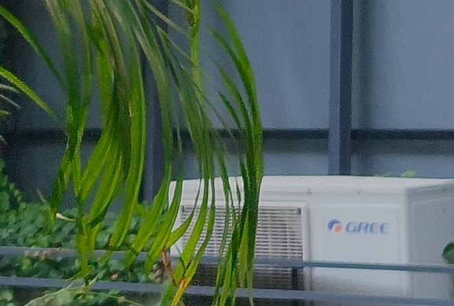 （放大后的2亿像素原图，图源：雷科技）