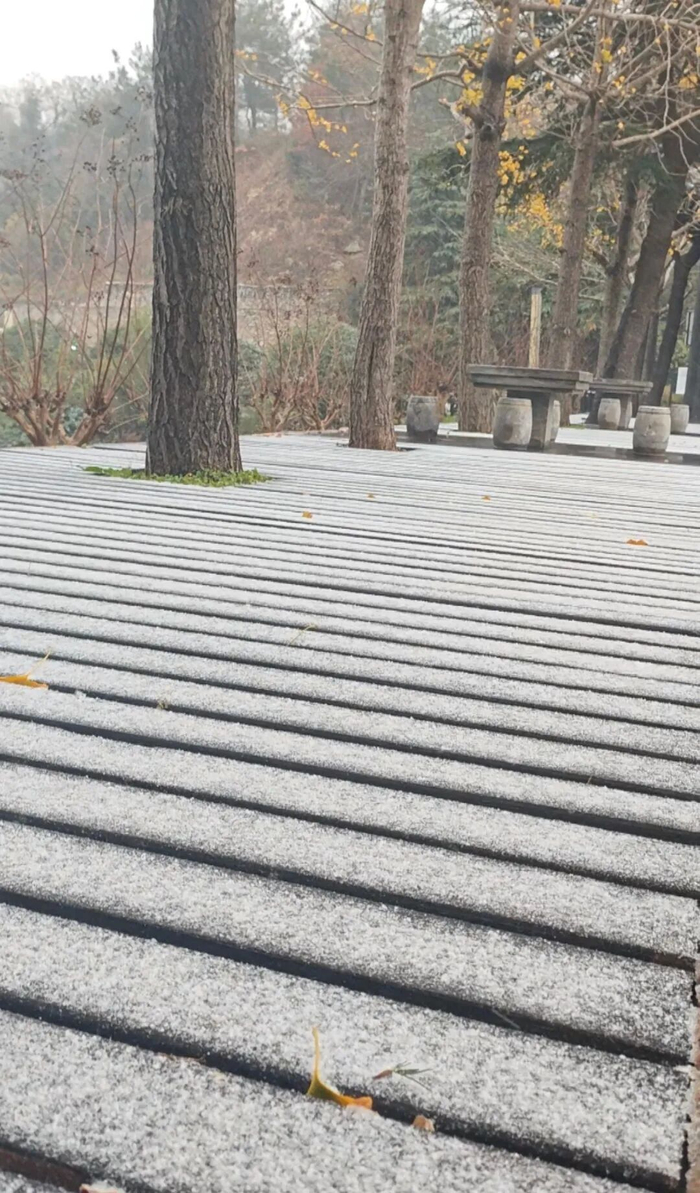 图/受访者提供 