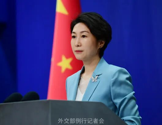 毛宁 资料图。图源：外交部网站