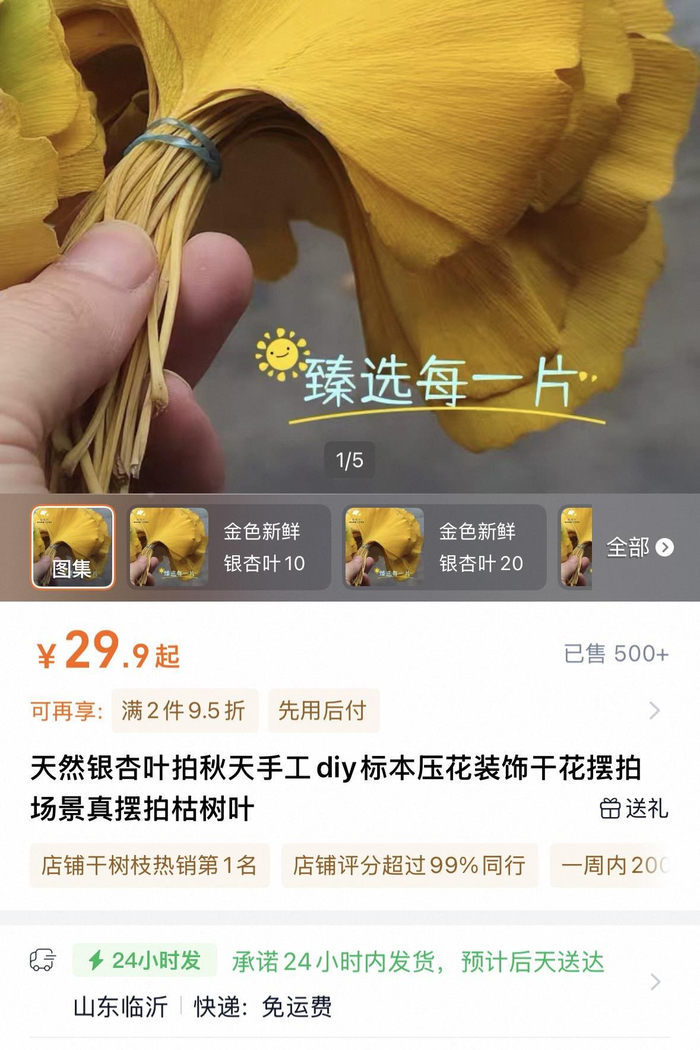 商家售卖新鲜银杏叶、梧桐叶等 来源：网购平台截图
