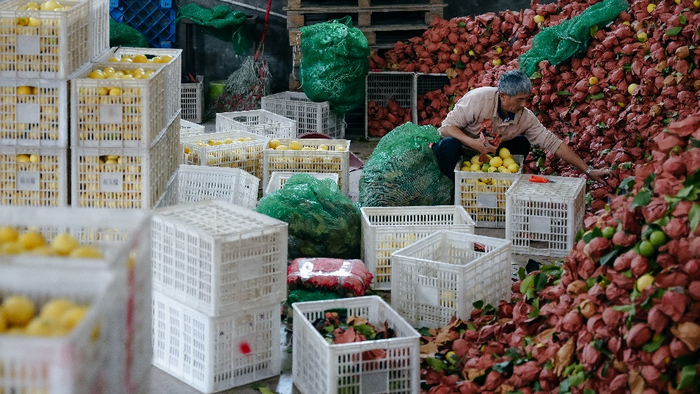 ▲三季度，“多多好特产”团队深入数十个农产区，助力农户丰产增收。（李靖 摄）