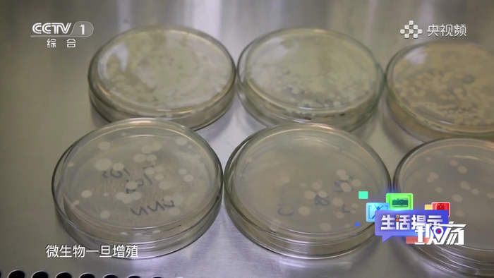 保温杯里装牛奶后迅速繁殖的微生物