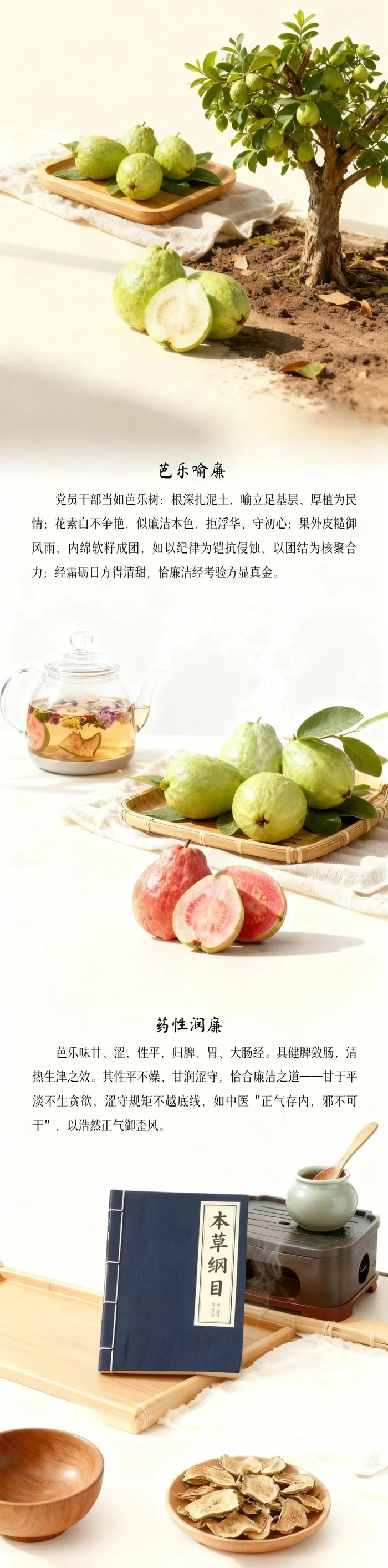 “果说”廉韵丨芭乐：芭乐养正 廉润初心