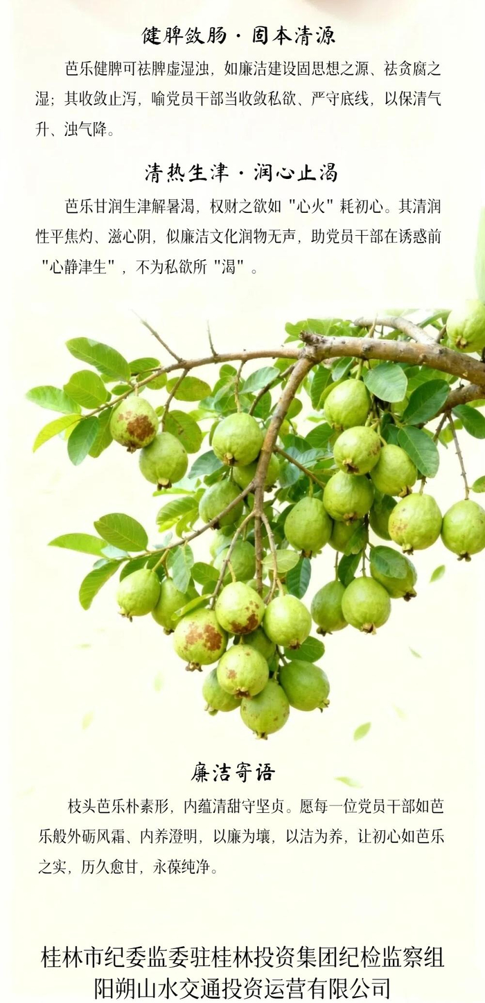 “果说”廉韵丨芭乐：芭乐养正 廉润初心