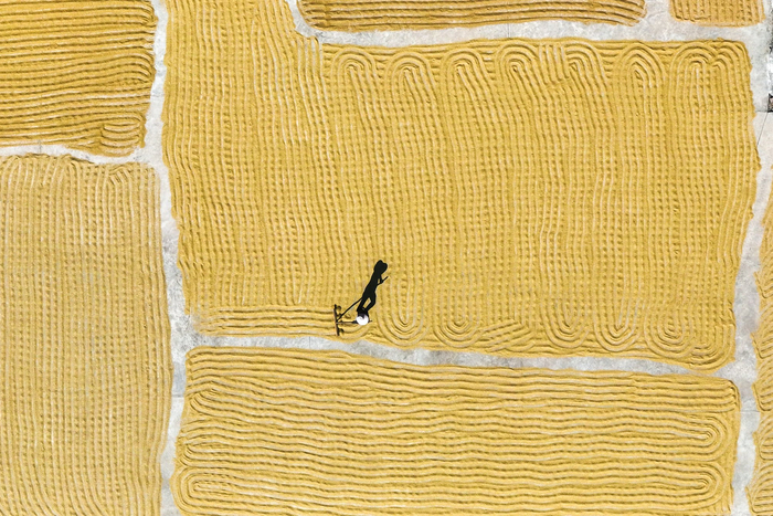 镜头丨小雪藏丰